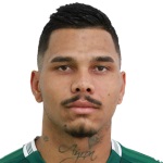 Alisson Fabrício dos Santos Taddei