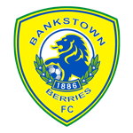 Canterbury Bankstown logo