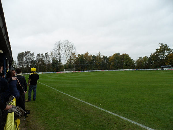 De Witte Molen stadium image