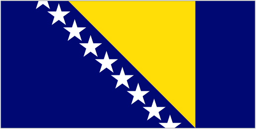 Bosnia Logo