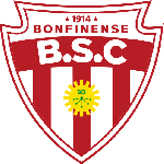 Botafogo BA logo