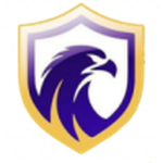 Falcon logo