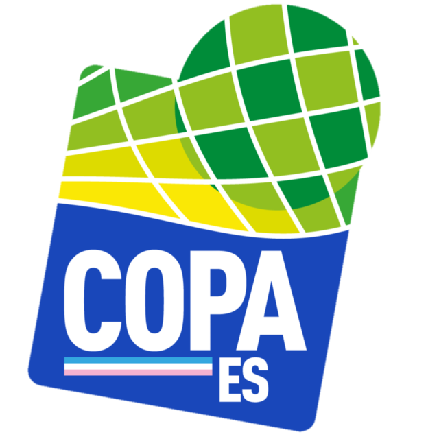 Brazil Copa Espírito Santo logo