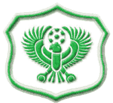 AL Masry logo