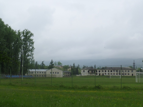 Boris Paitchadzis Sakhelobis Tsentraluri Stadioni stadium image