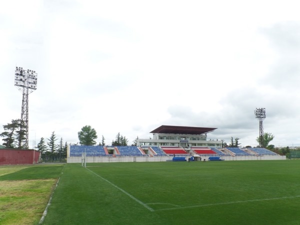 Stadioni Tengiz Burjanadze stadium image