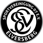 SV Elversberg logo