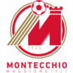 Montecchio Maggiore logo