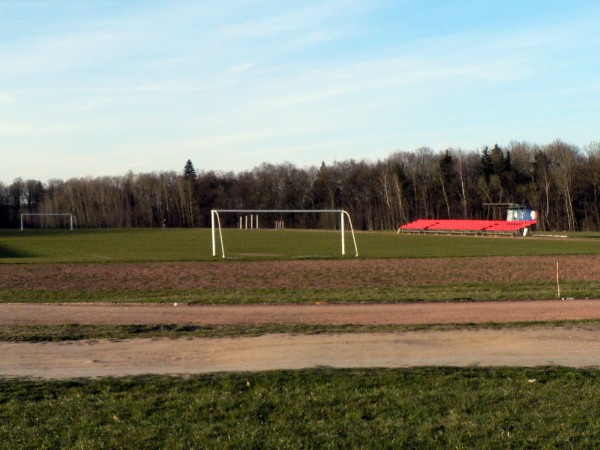 VDU Valdo Adamkaus stadionas stadium image