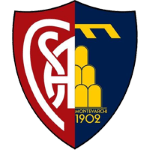 Montevarchi Calcio logo