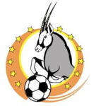 Namibia Premier League logo