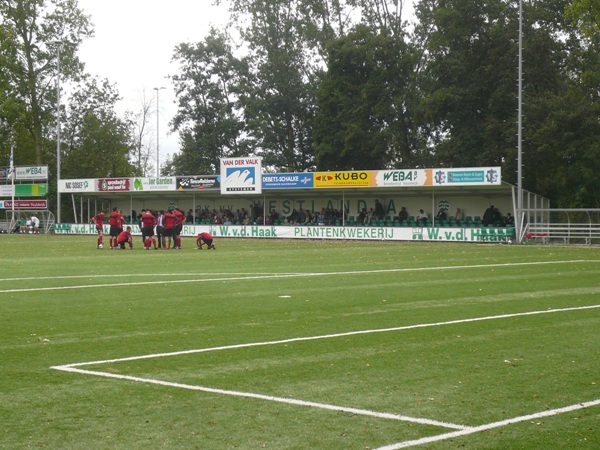 Sportpark De Hoge Bomen stadium image