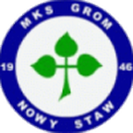 Grom Nowy Staw logo