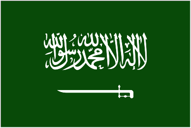 Saudi Arabia U23 logo