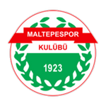 Maltepespor logo