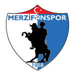 Merzifonspor logo