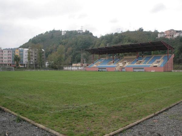 Vakfıkebir İlçe Stadyumu stadium image