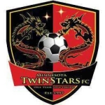 Minnesota Twin Stars logo