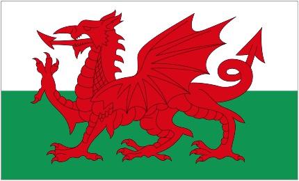 Wales U21 logo